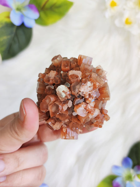 Large Aragonite Star Cluster