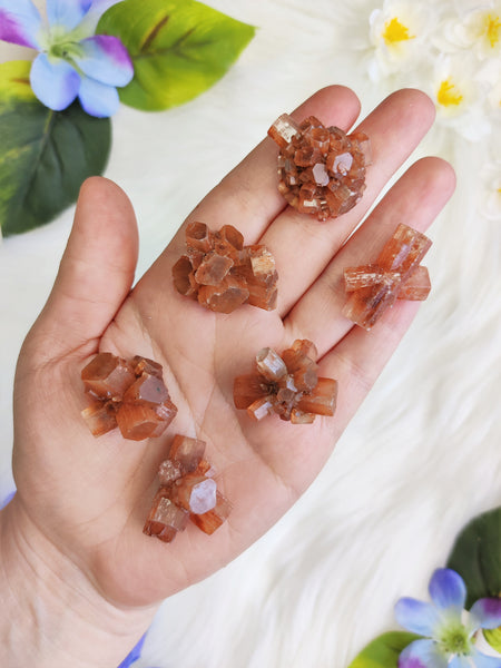 X-Small Aragonite Star Cluster