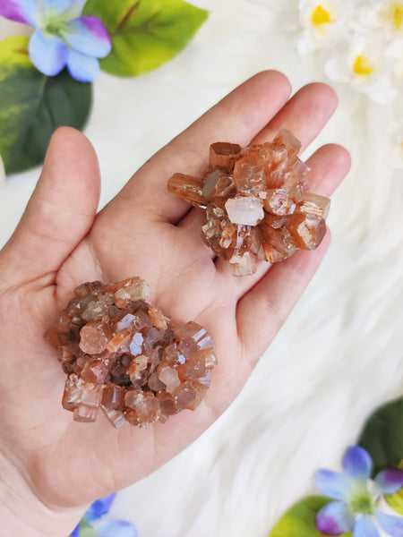 Medium Aragonite Star Cluster