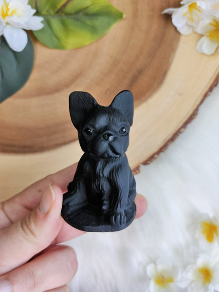 Obsidian Frenchie