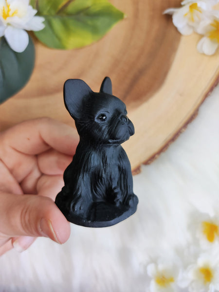 Obsidian Frenchie