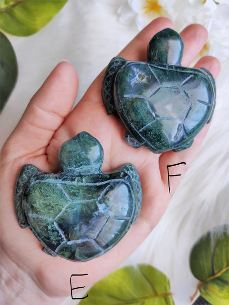 Moss Agate Turtles