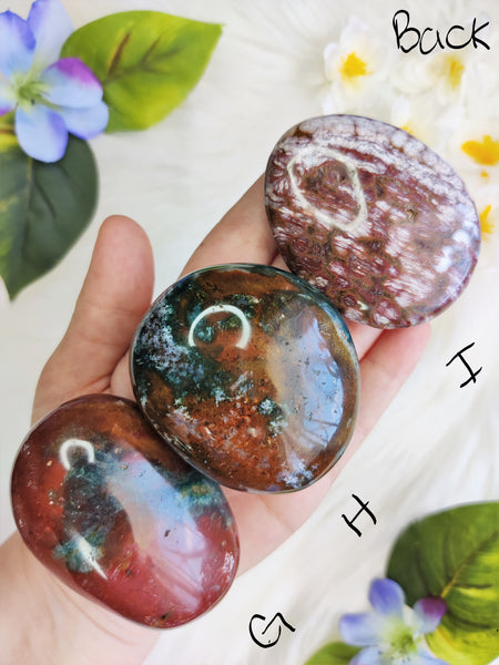 Large Ocean (Orbicular) Jasper Palm Stone