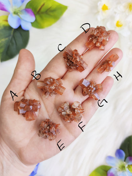 XX-Small Aragonite Star Cluster