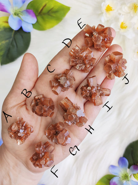 X-Small Aragonite Star Cluster