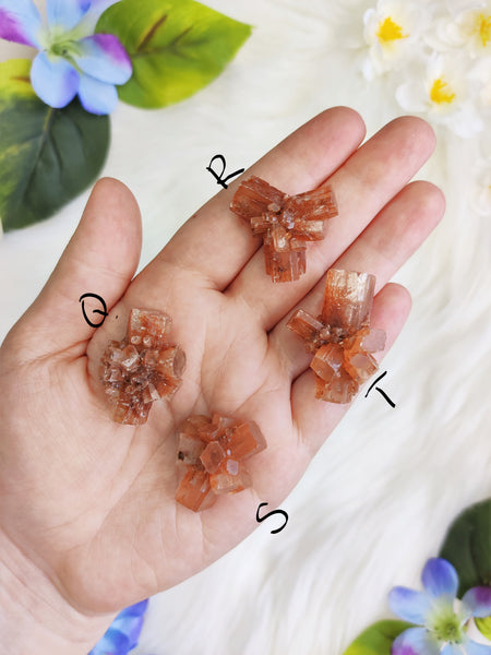 X-Small Aragonite Star Cluster