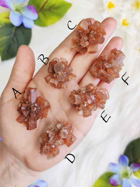 Small Aragonite Star Cluster