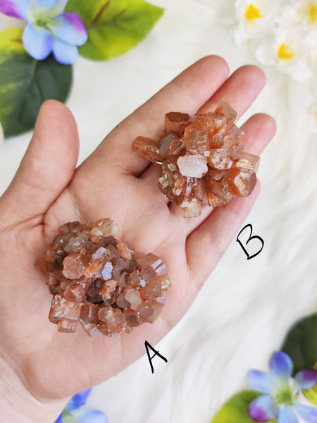 Medium Aragonite Star Cluster