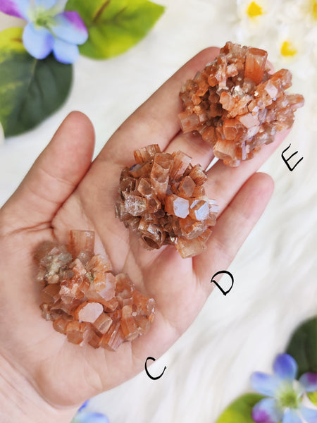 Medium Aragonite Star Cluster