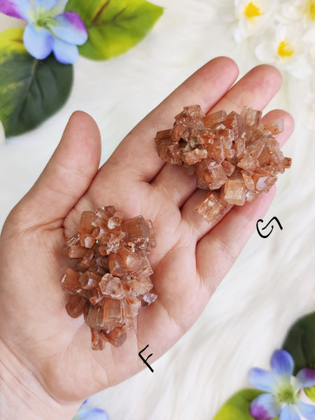 Medium Aragonite Star Cluster