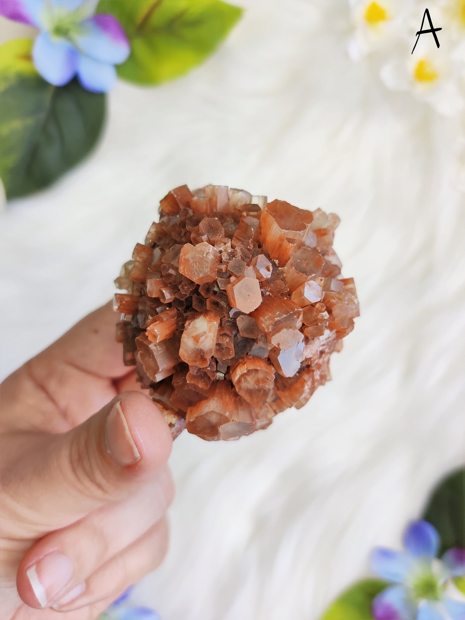 Large Aragonite Star Cluster