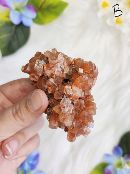 Large Aragonite Star Cluster