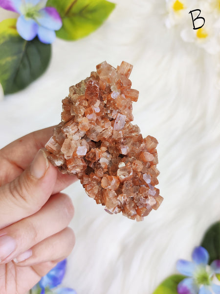 Large Aragonite Star Cluster