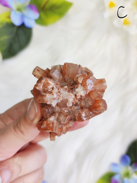 Large Aragonite Star Cluster