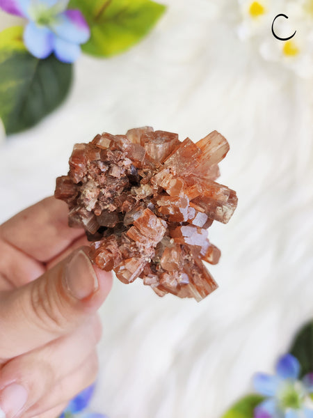 Large Aragonite Star Cluster