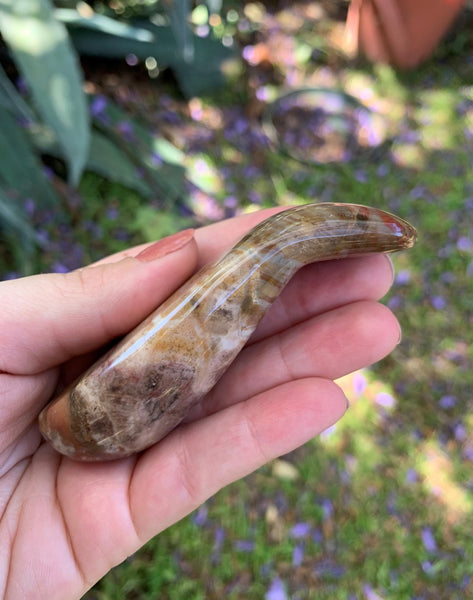 Petrified Wood Curved Massage Wand