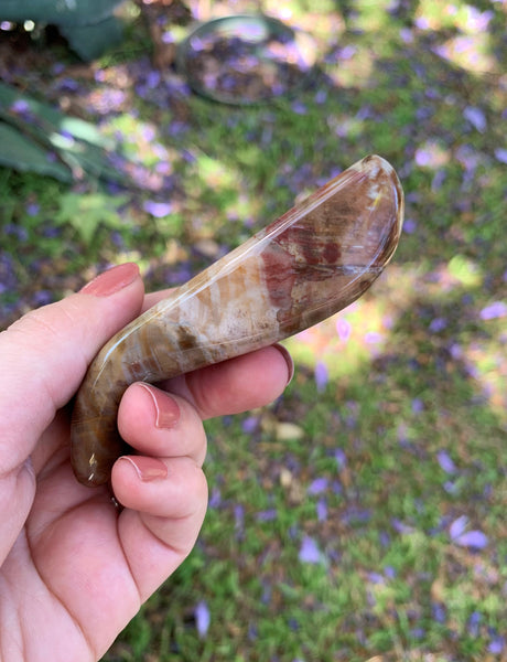 Petrified Wood Curved Massage Wand