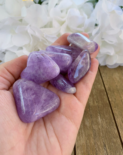 Amethyst Tumbled Stones