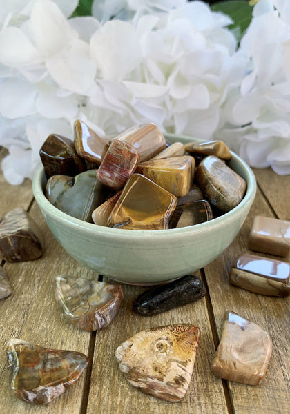 Petrified Wood Tumbled Stones