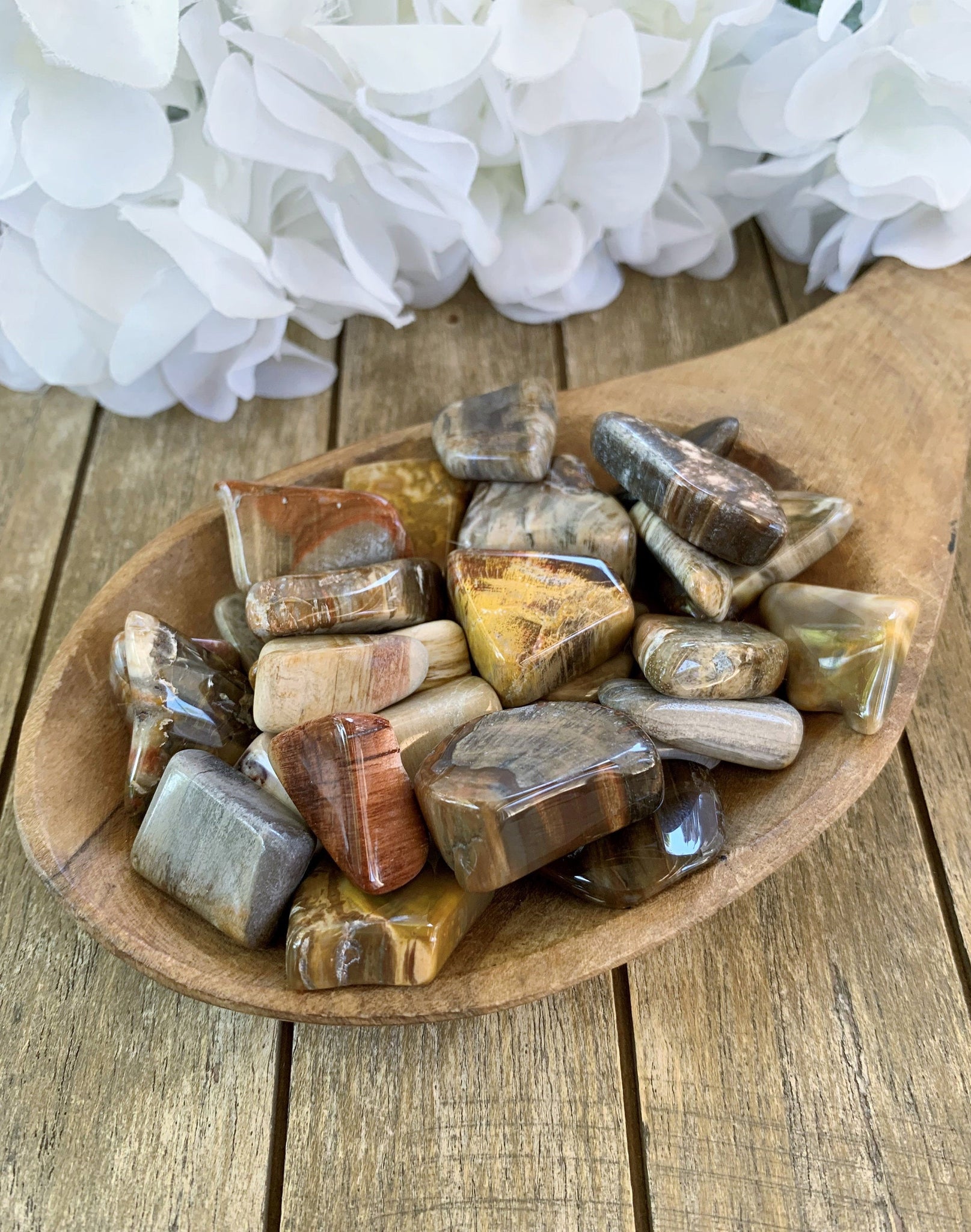 Petrified Wood Tumbled Stones