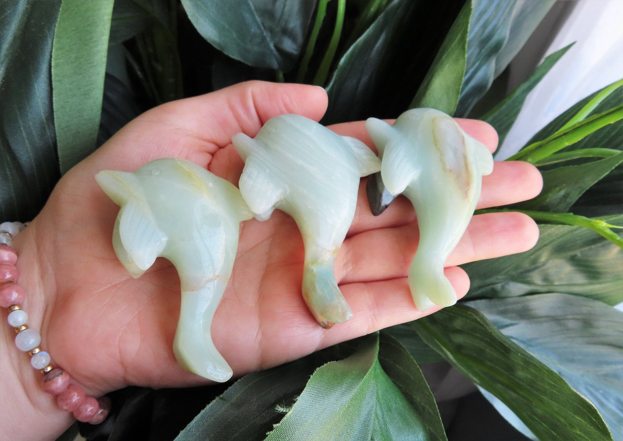 Amazonite Dolphins