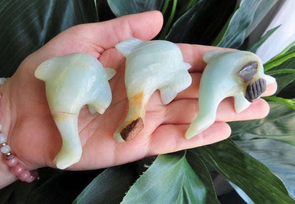 Amazonite Dolphins