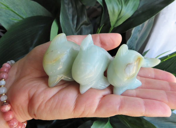 Amazonite Dolphins