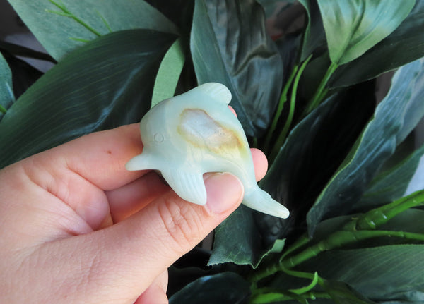 Amazonite Dolphins