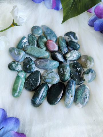 Moss Agate Tumbled Stones