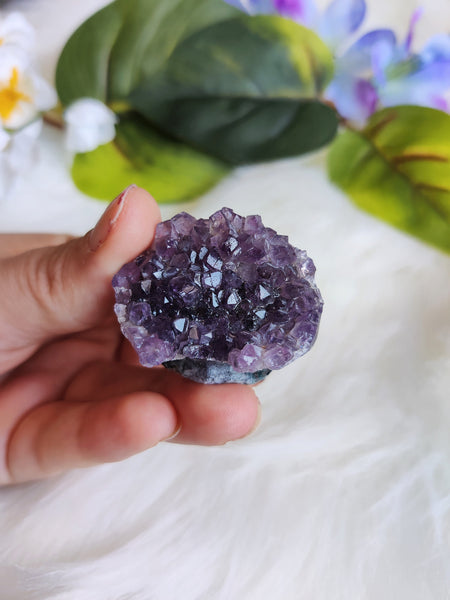 Wide Face Amethyst Cluster Hedgehog