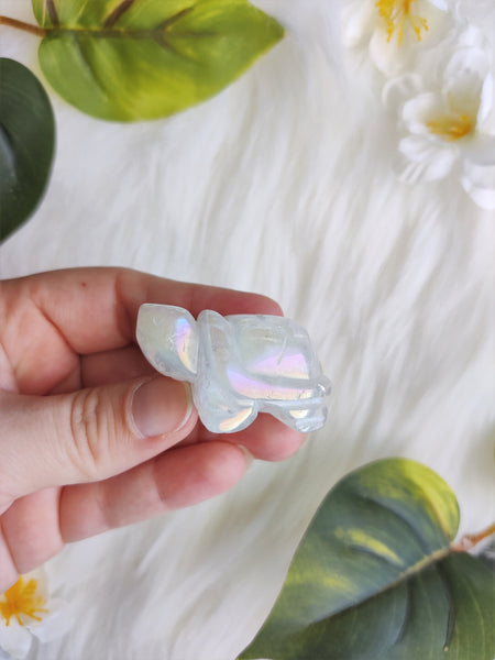 Angel Aura Turtle