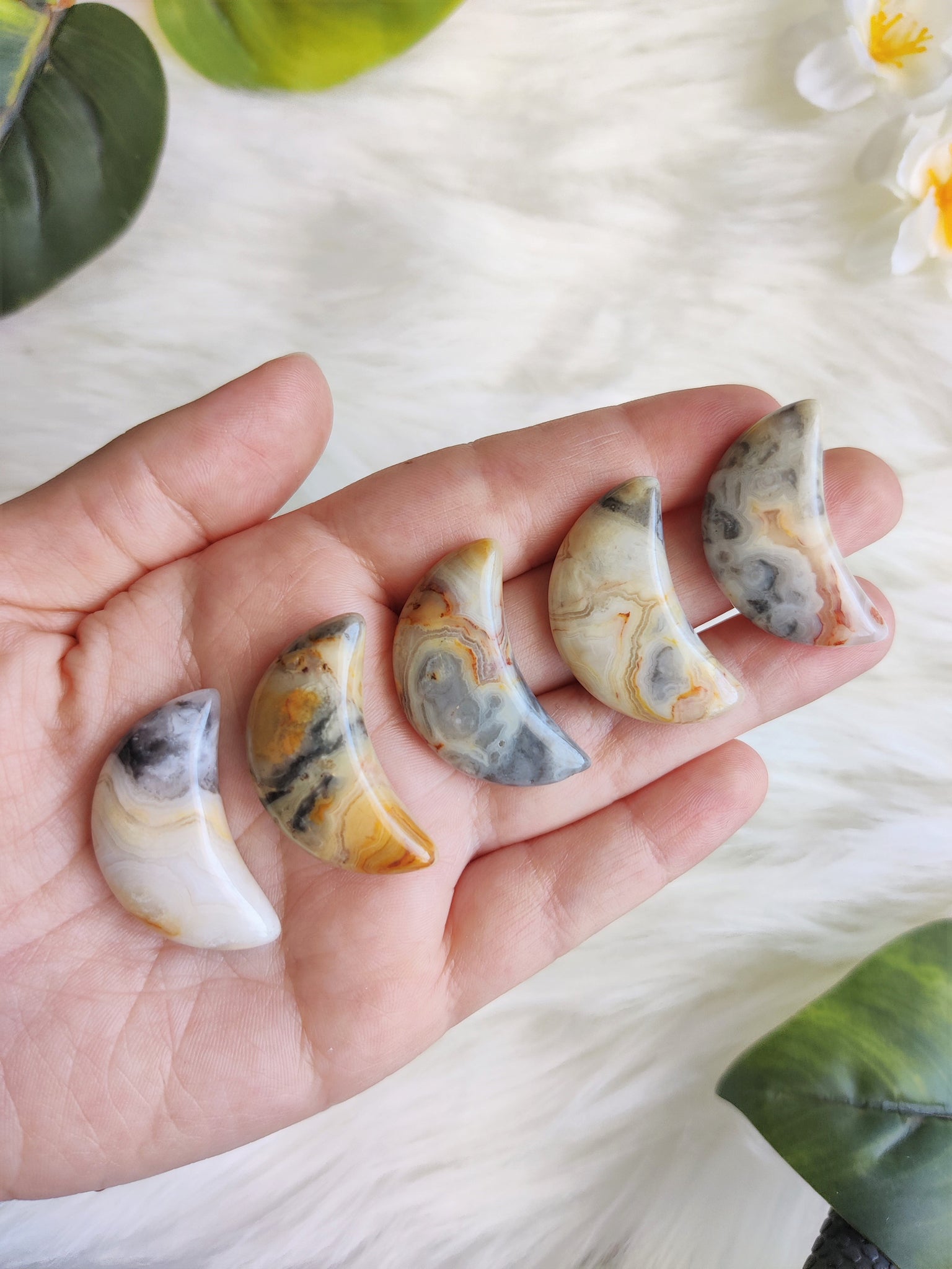 Crazy Lace Agate Puffy Crescent Moon